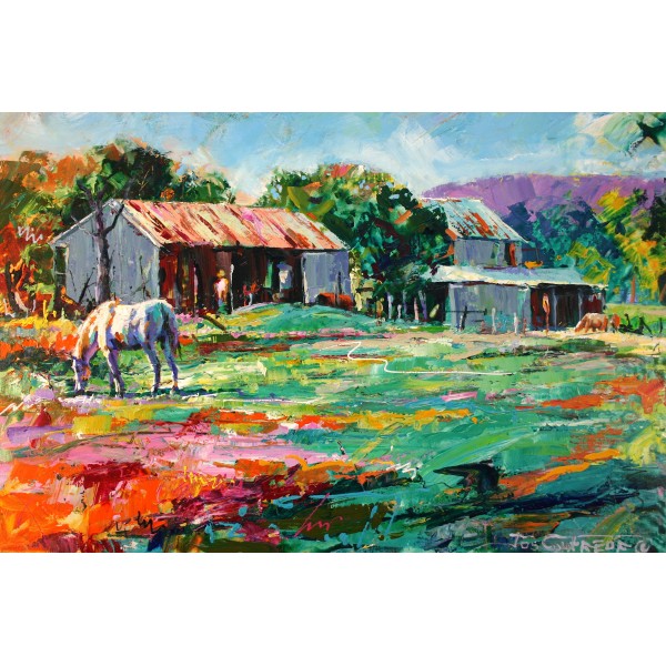 Old Sheds